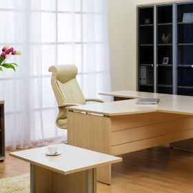 Flowers on a background of a window at modern office